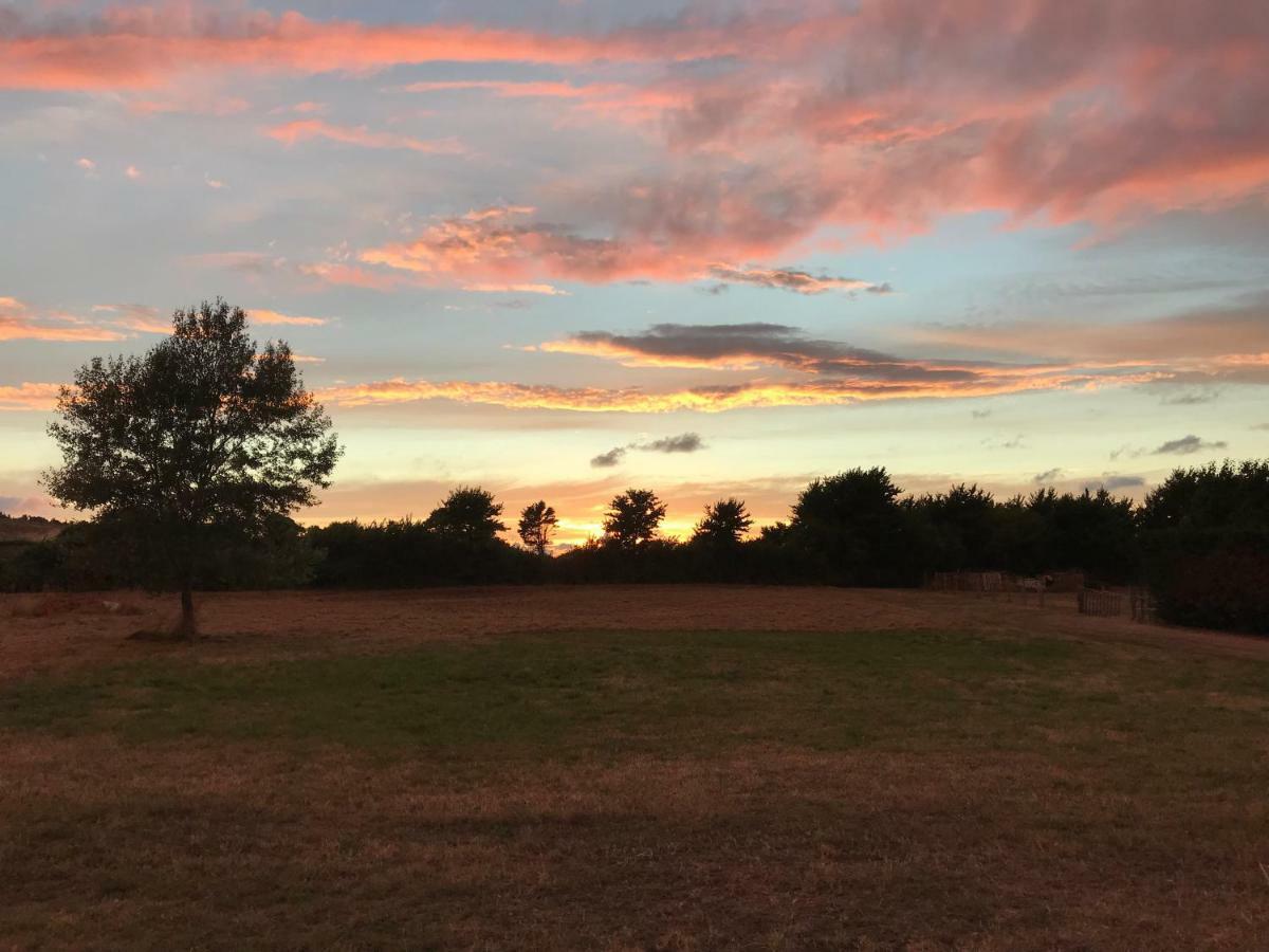 ווצ'ט Court Farm Holiday Bungalows Ltd מראה חיצוני תמונה